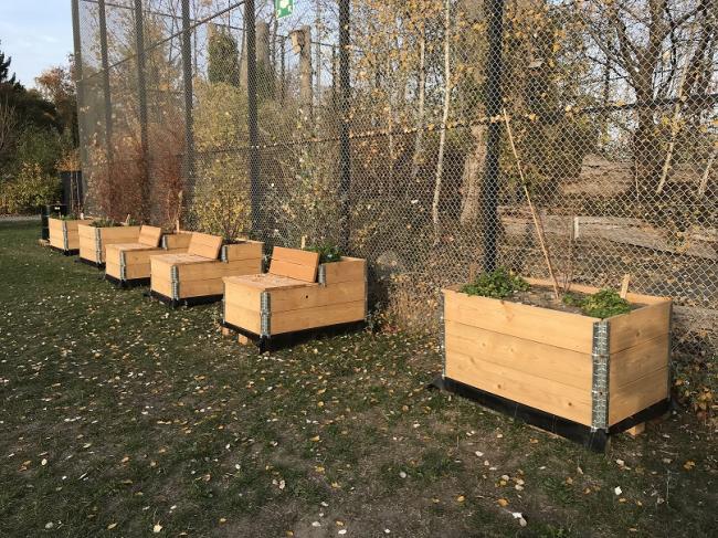 Neue Beete auf dem Schulhof